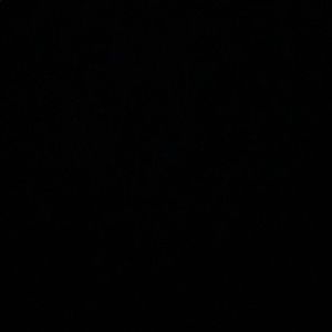 Meet your Posher, Jen